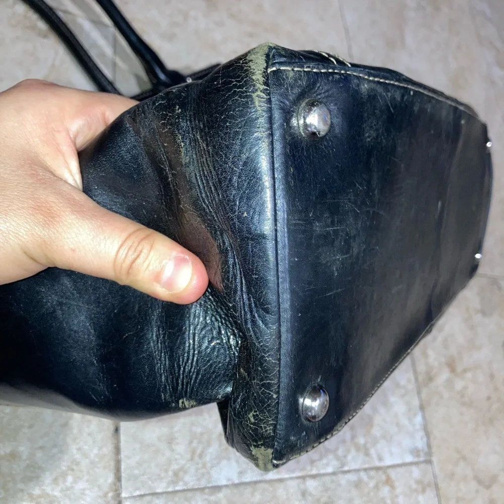 Fossil elegant black